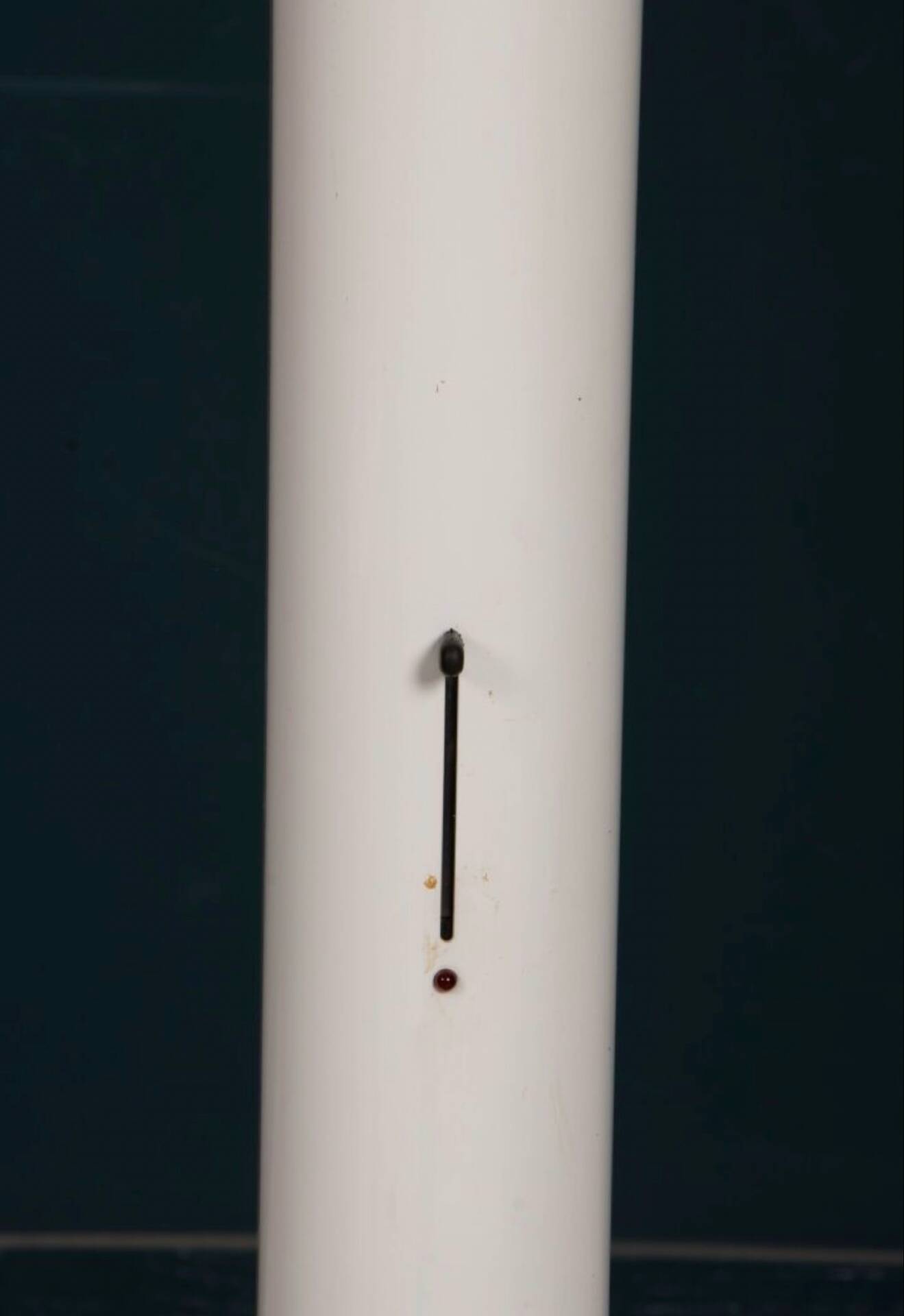 Pair of Megaron floor lamps - Artemide - Gianfranco Frattini