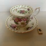 Cosmos Cup October Royal Albert