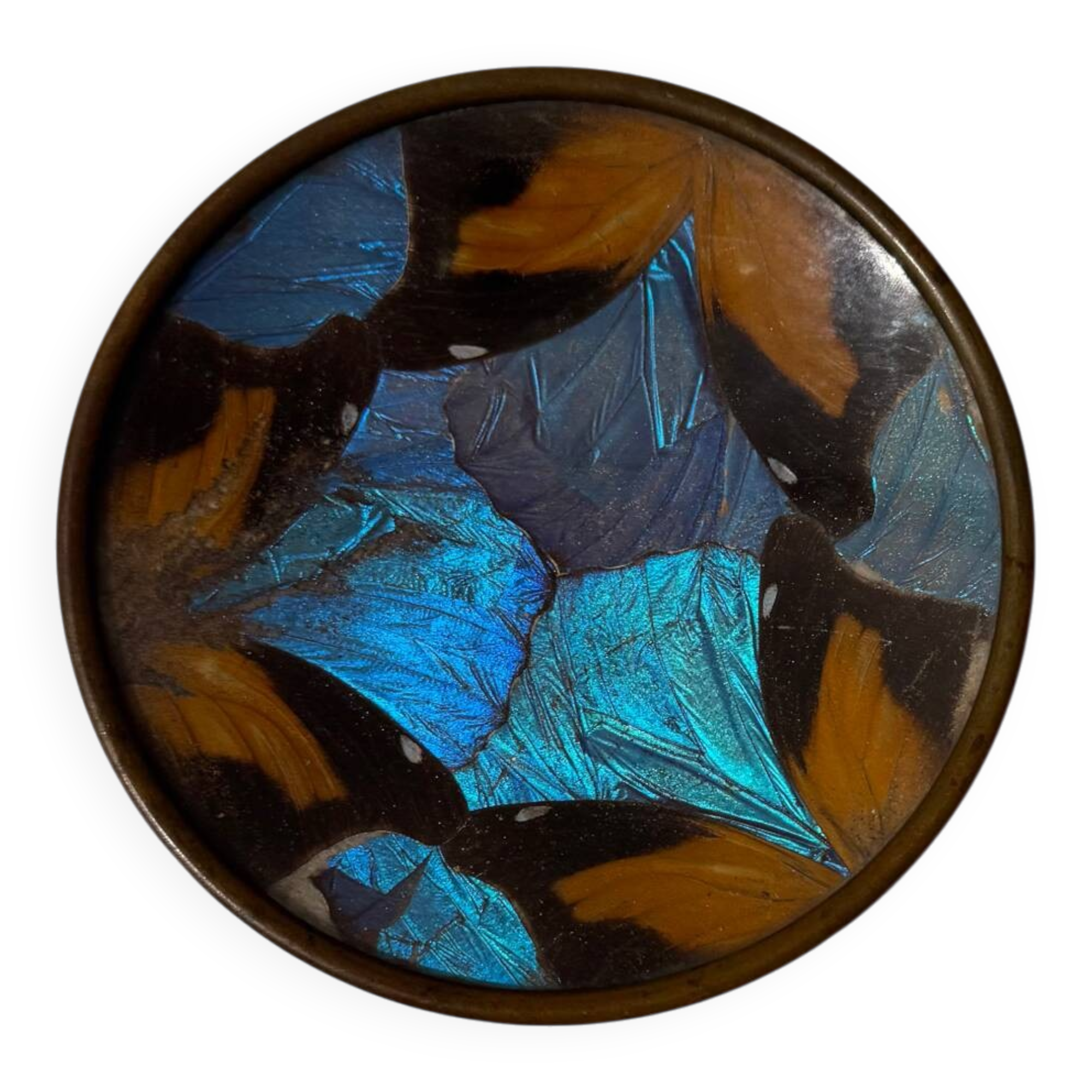 Art Deco butterfly wings catch-all Billère