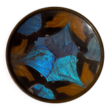 Art Deco butterfly wings catch-all Billère