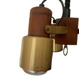Extendable spotlight ceiling light