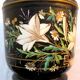 Cache-pot black background, Napoleon III, Paris porcelain: White lilies + Daisies