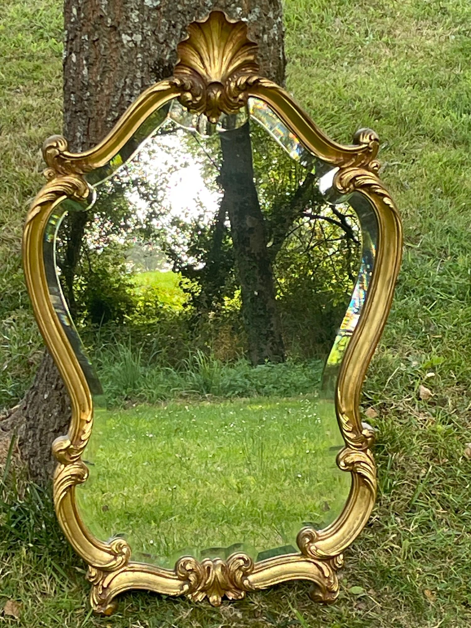 Beveled gilded wood mirror with violin shapes, Louis XV baroque style shell