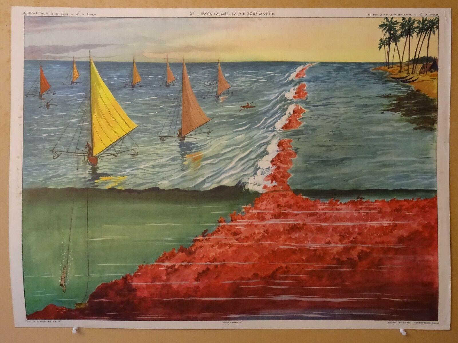 Rossignol school poster in the sea underwater life / the bocage