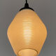Rotaflex pendant light