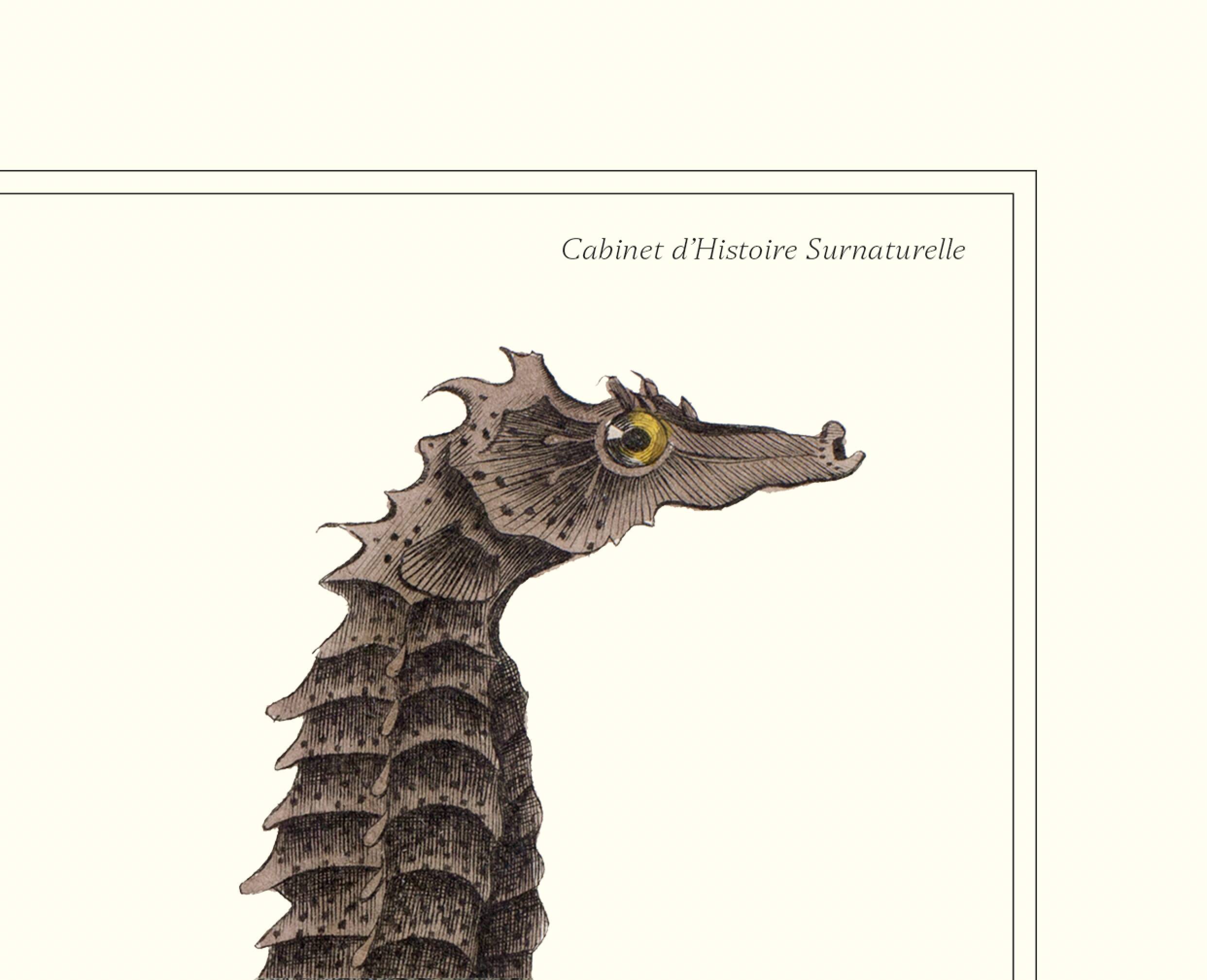 Lithograph engraving chimera animal, the cariapocampus 22x28 cm