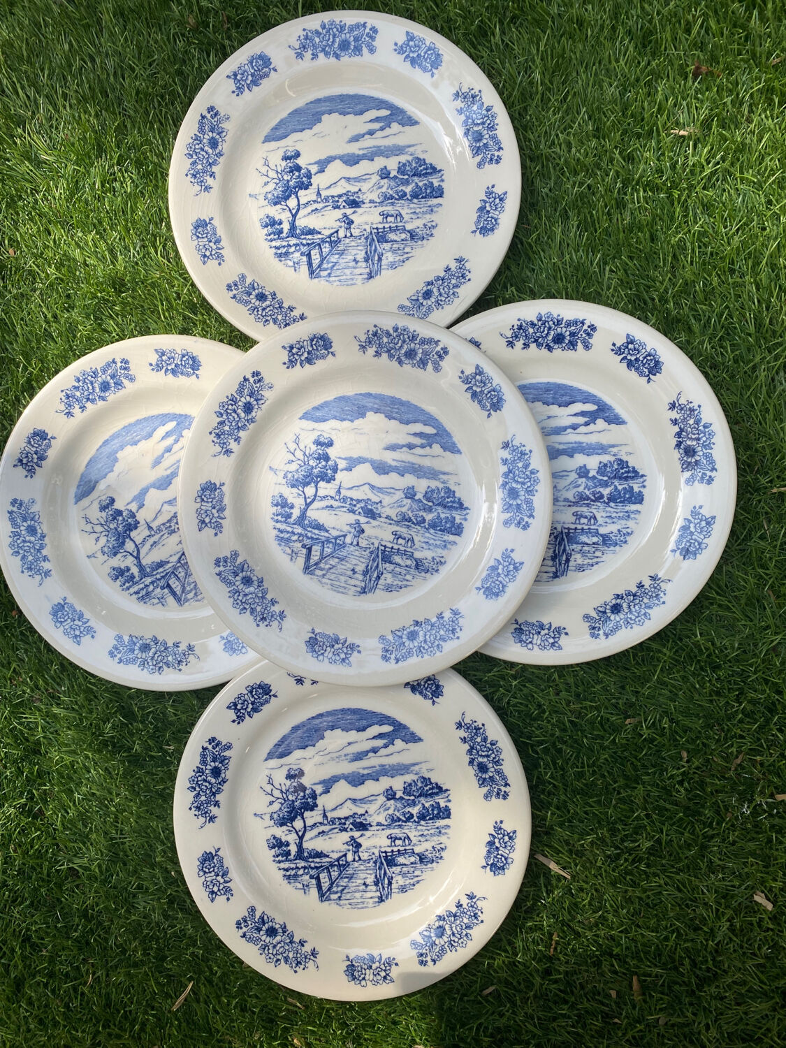 5 gien plates