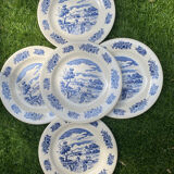 5 gien plates