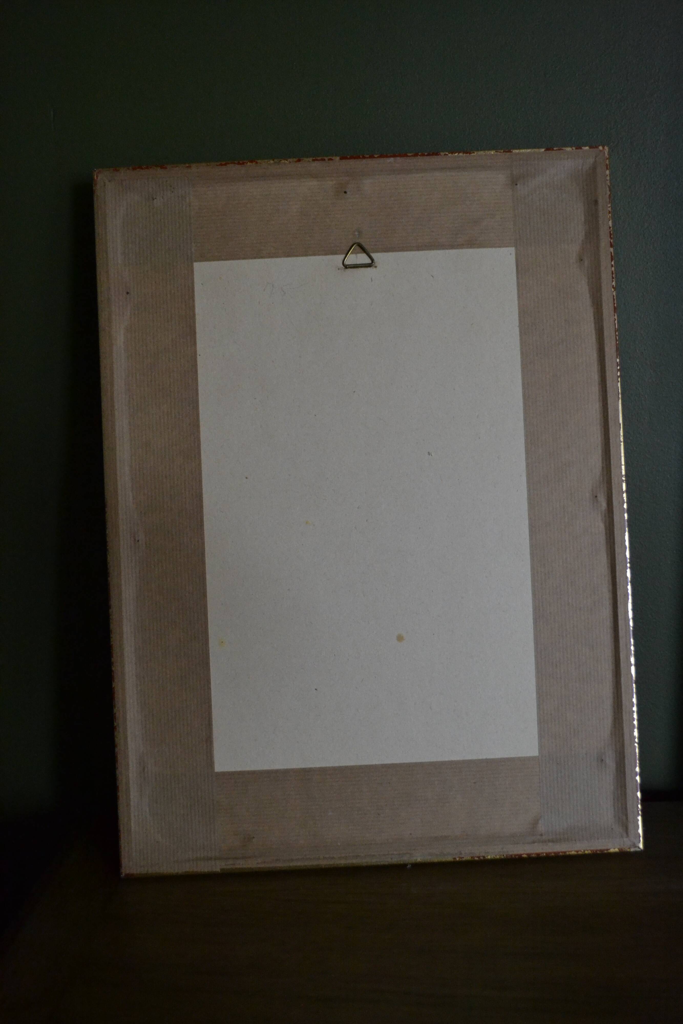 Framed jasmine botanical board