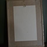 Framed jasmine botanical board