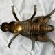 Ashtray brass fly years 70