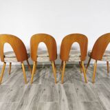 Dining Chairs by Antonin Suman, Set of 4