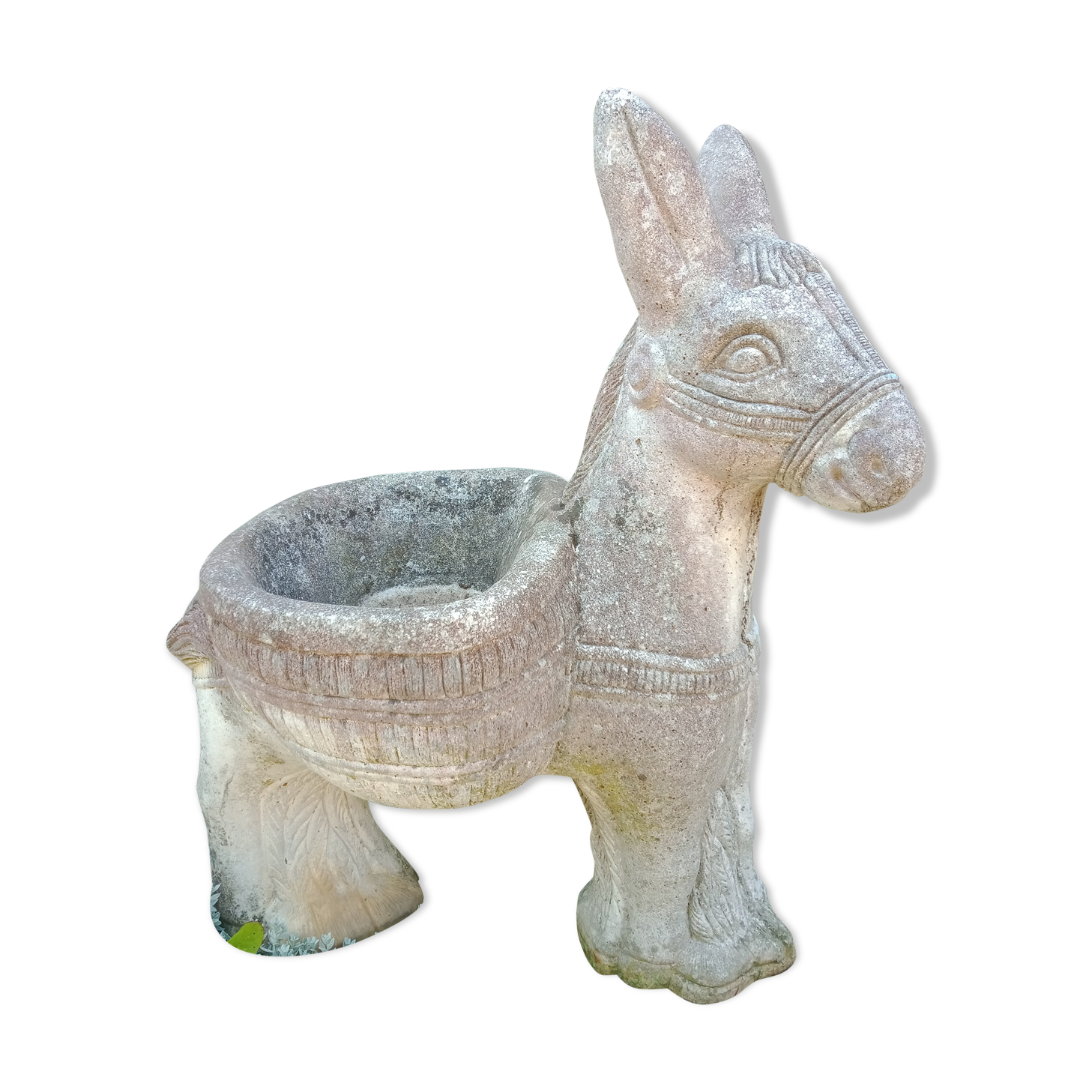 Cement donkey planter