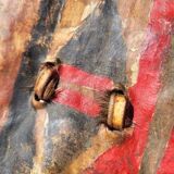 Vintage African Maasai Shield