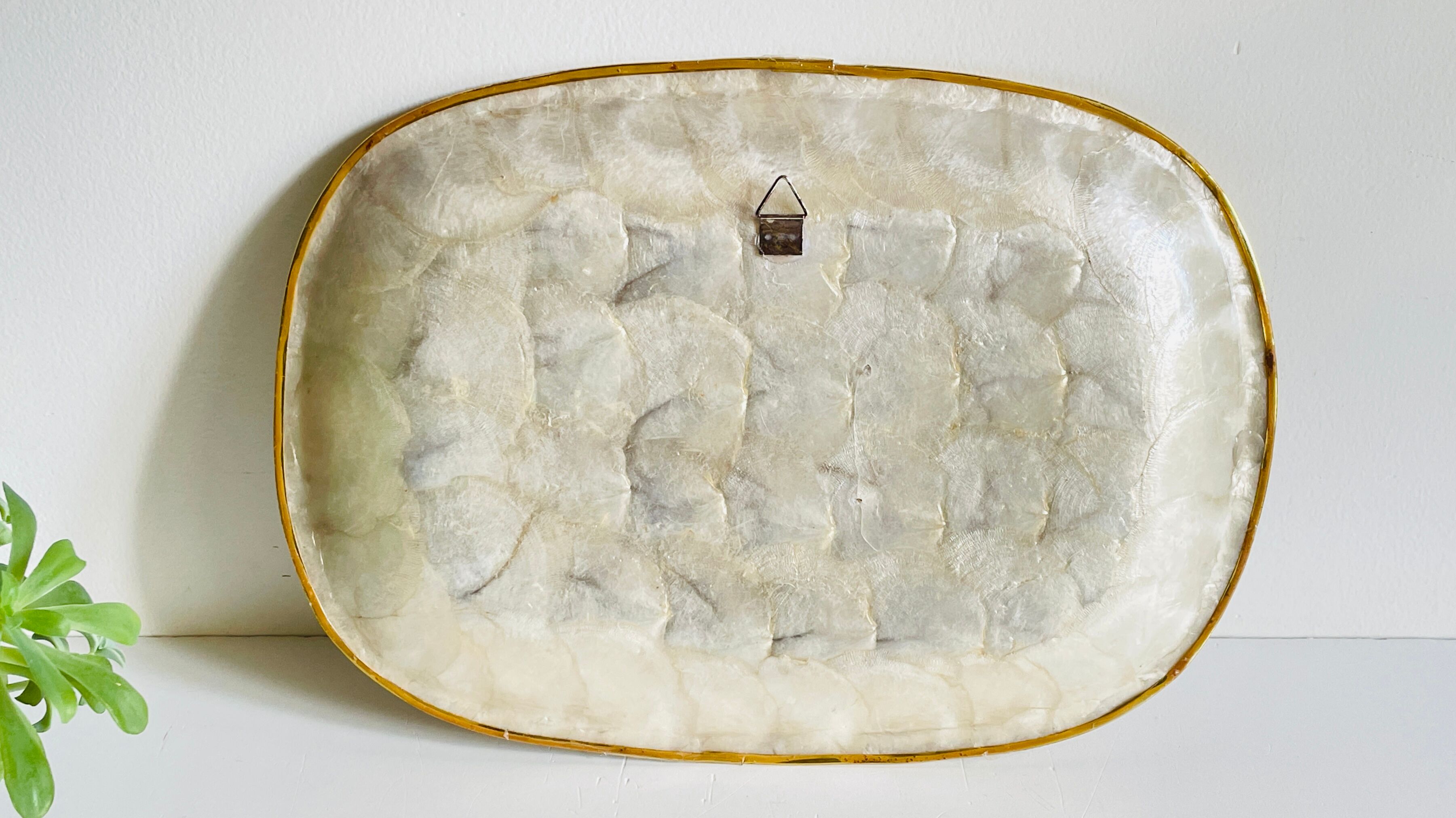 Decorative Shells Plateau Vintage
