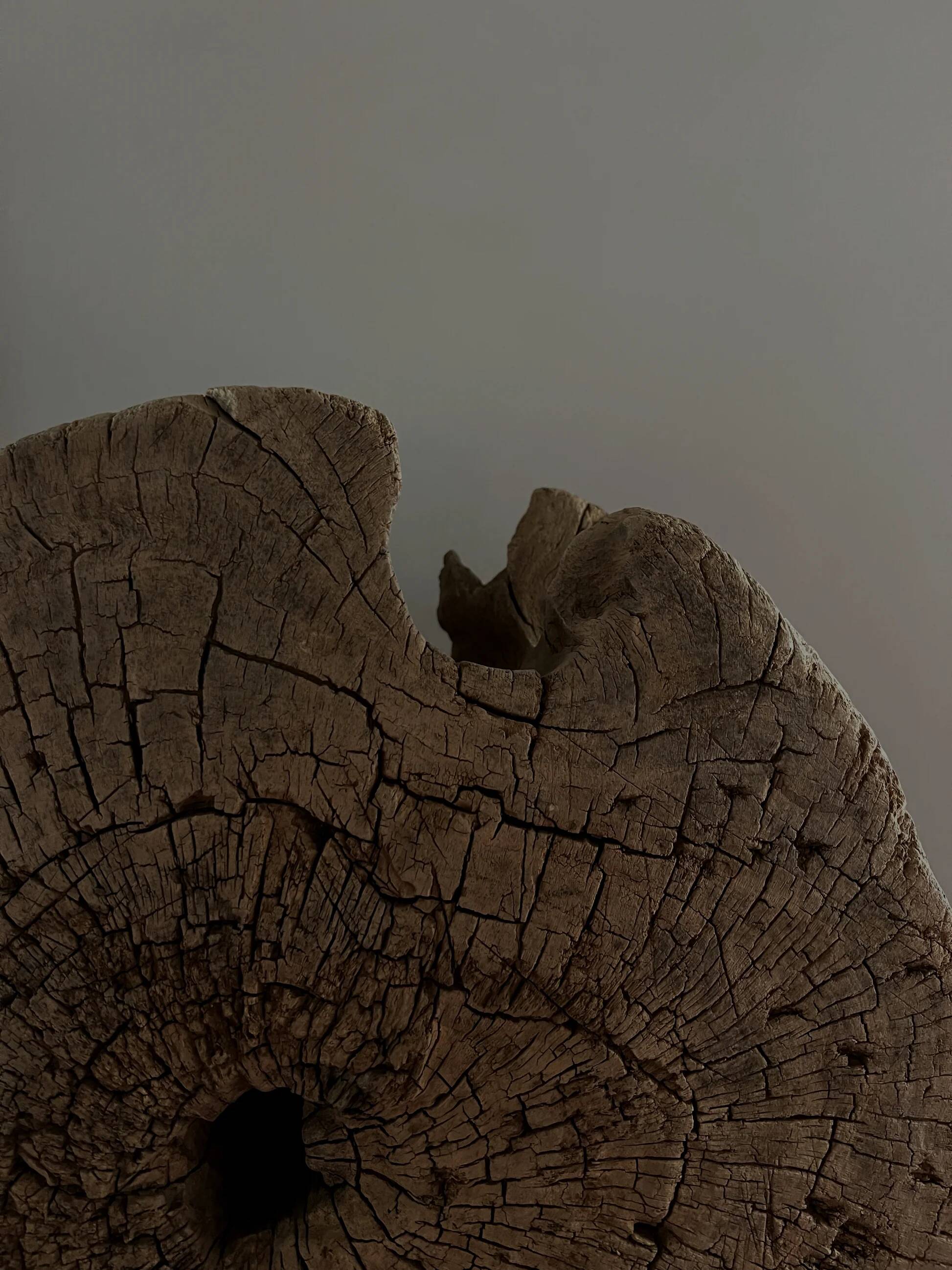 Bois sculptural - Ø41cm