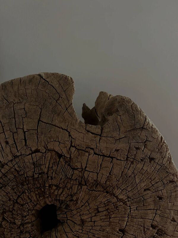 Bois sculptural - Ø41cm