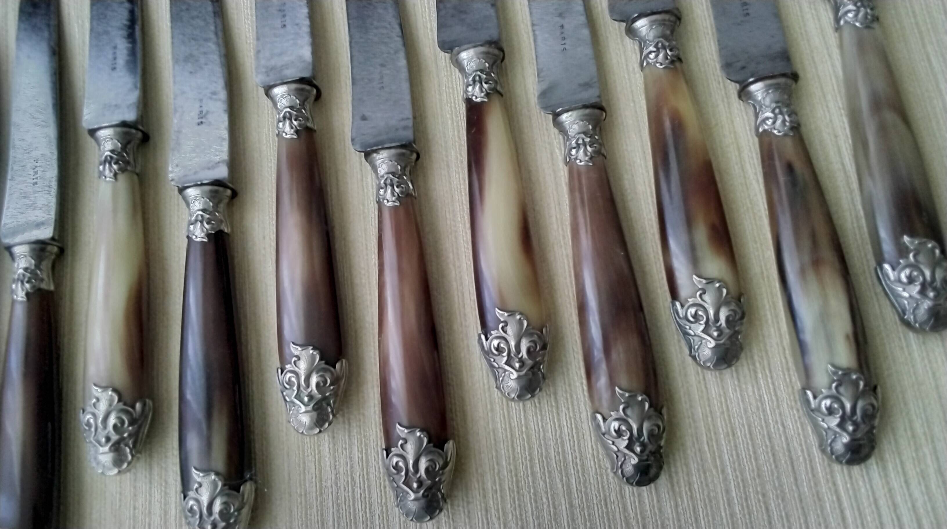 Box of 12 antique cheese or dessert knives. Steel and bovine horn.