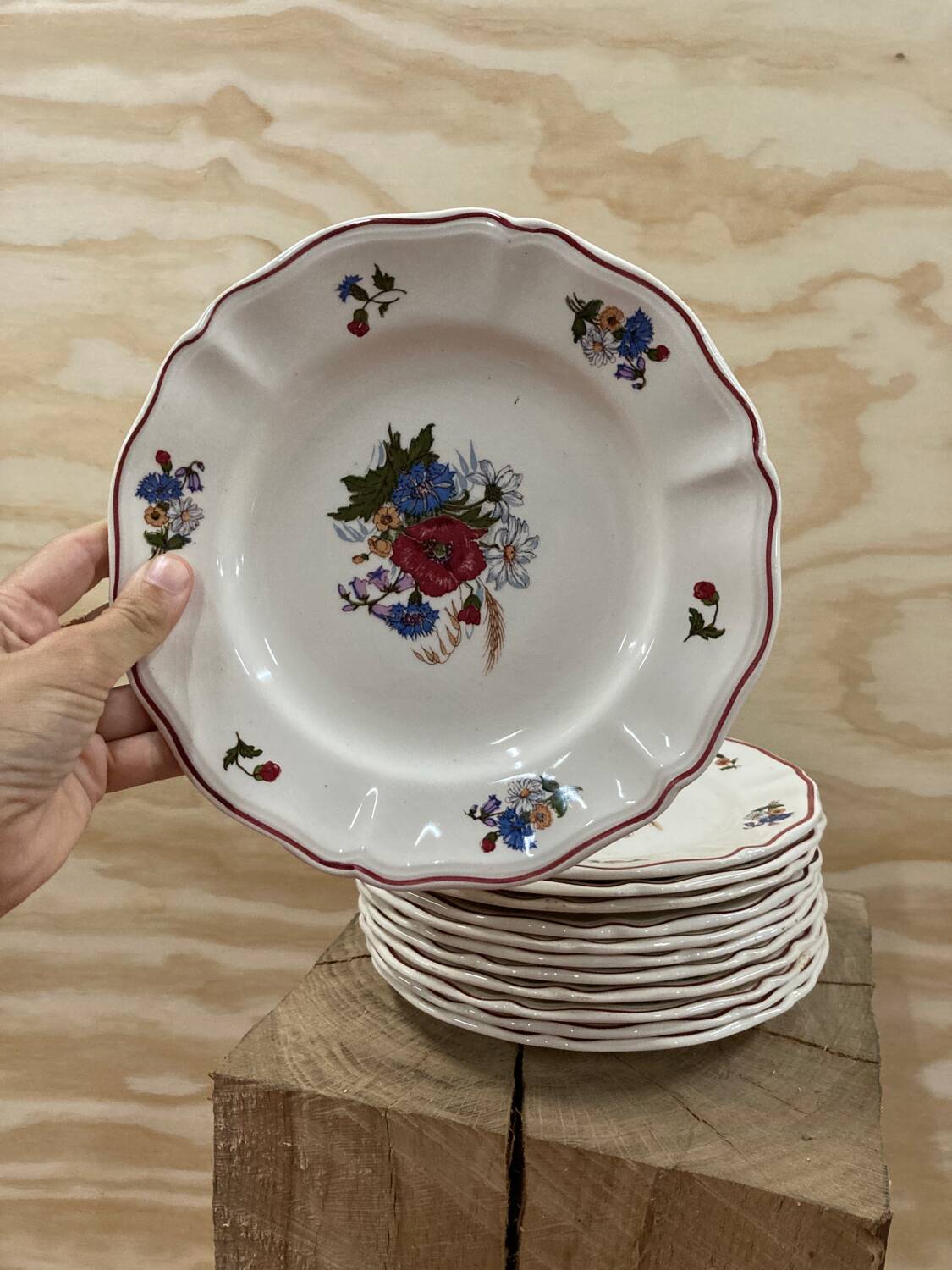 12 Sarreguemines Agreste dessert plates