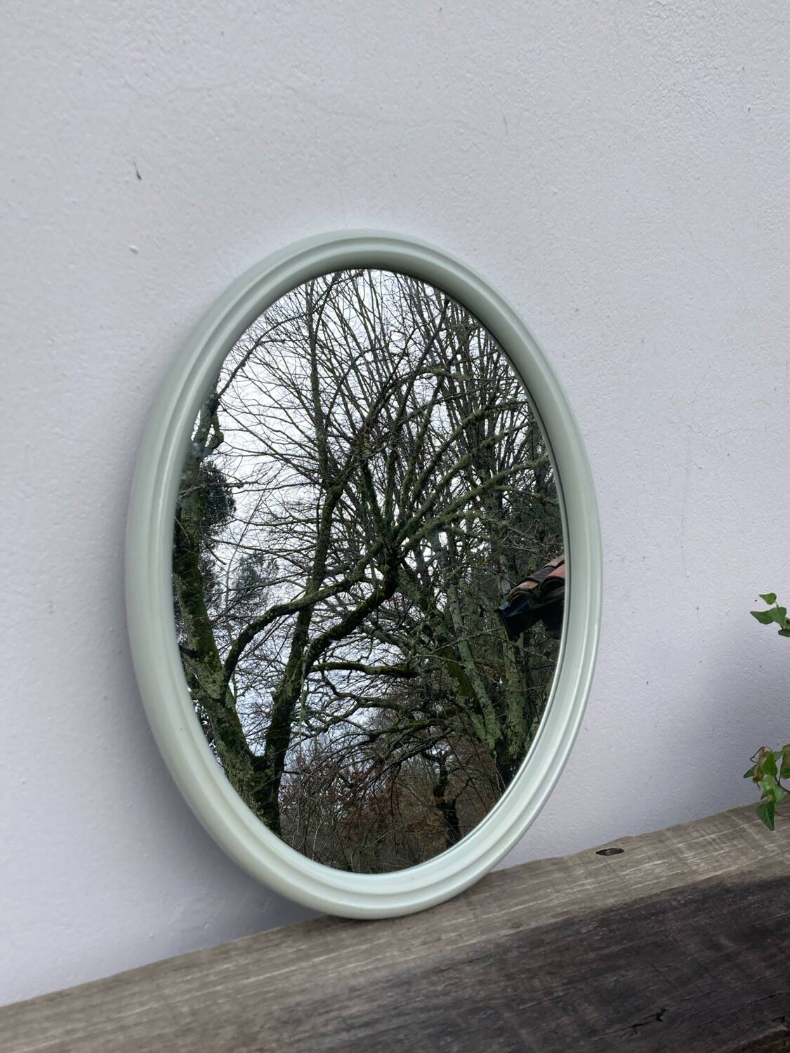 80s Tiger oval mirror