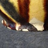 Pichet à eau ou orjol français ancien à glaçure rayée