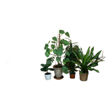 Vintage turkish oushak rug 225x130 cm shabby carpet ushak region medium