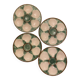 Set de 4 assiettes à huîtres Longchamp