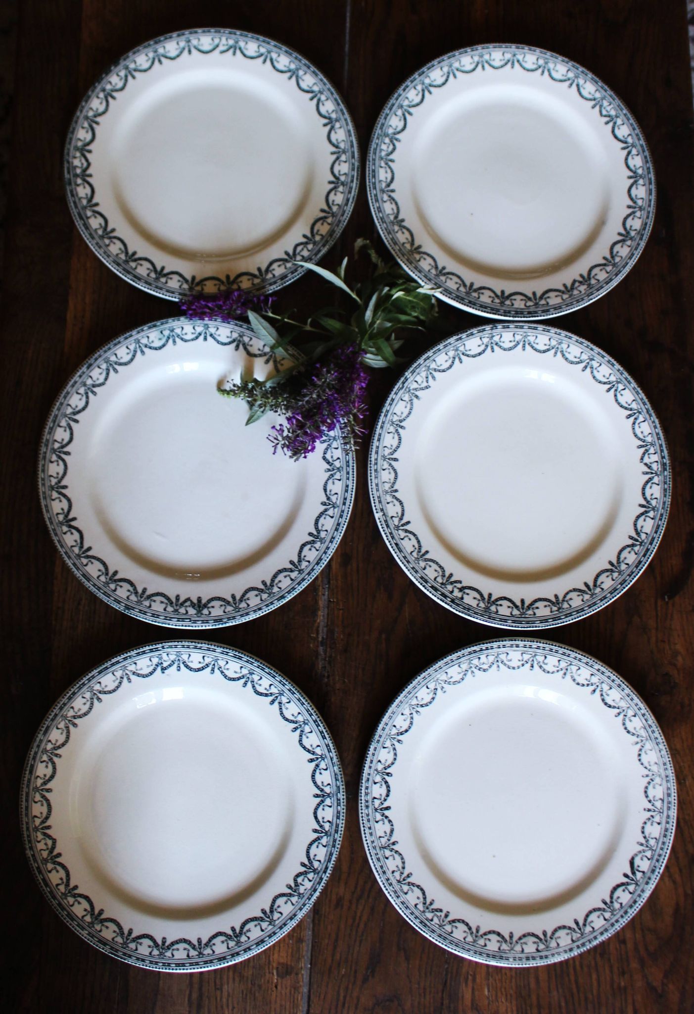 A set of 6 flat plates Terre de Fer Guirlandes Louis XVI Salins