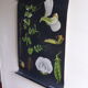 POIS botanical poster by Jung Koch Quentell, created in 1953, printed in Germany in 1985
