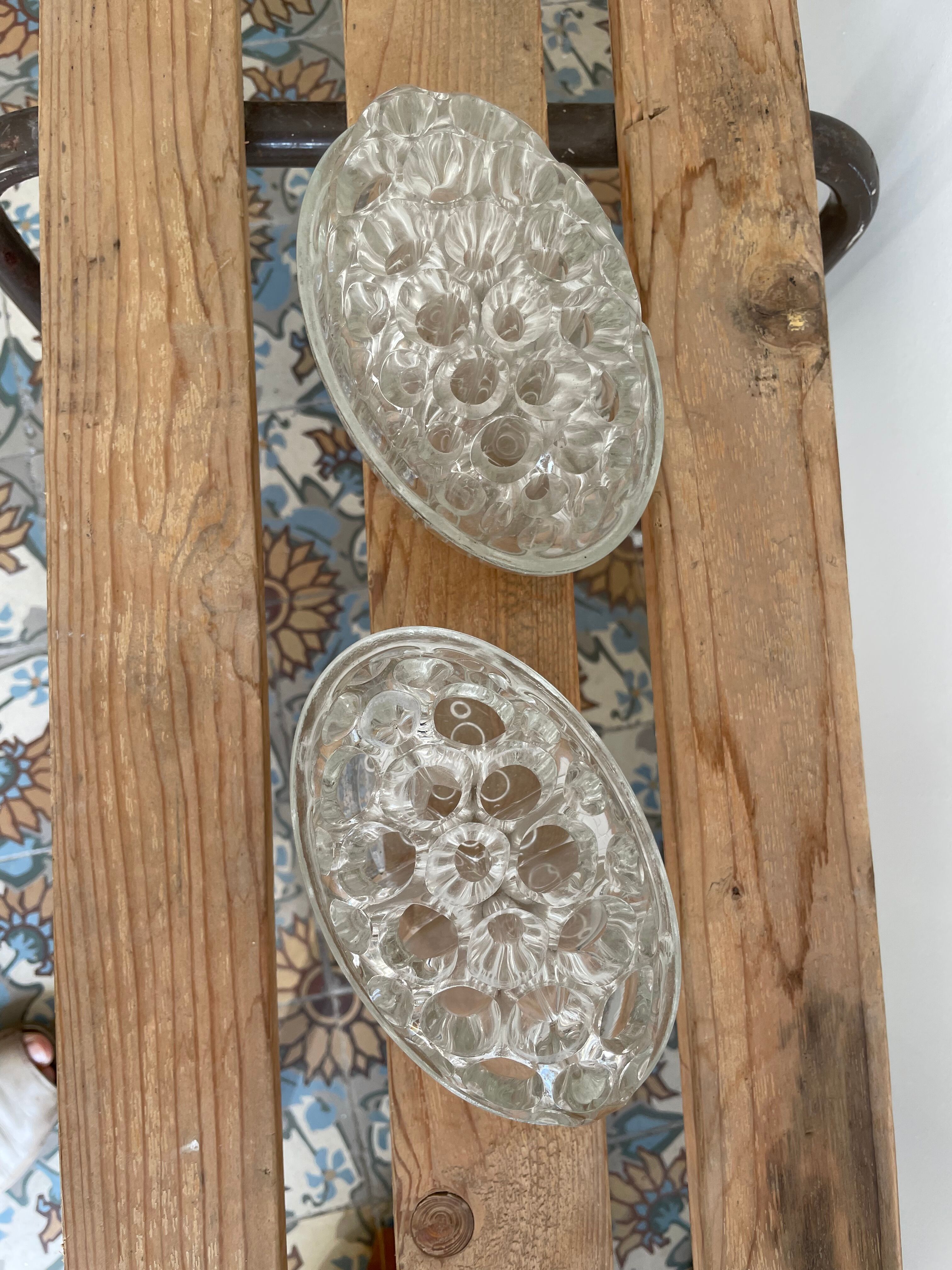 Duo of picnic flowers