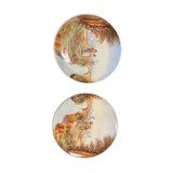 Pair of decorative plates 19th