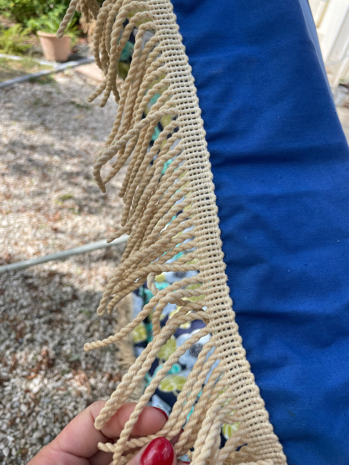 Blue parasol and flowers