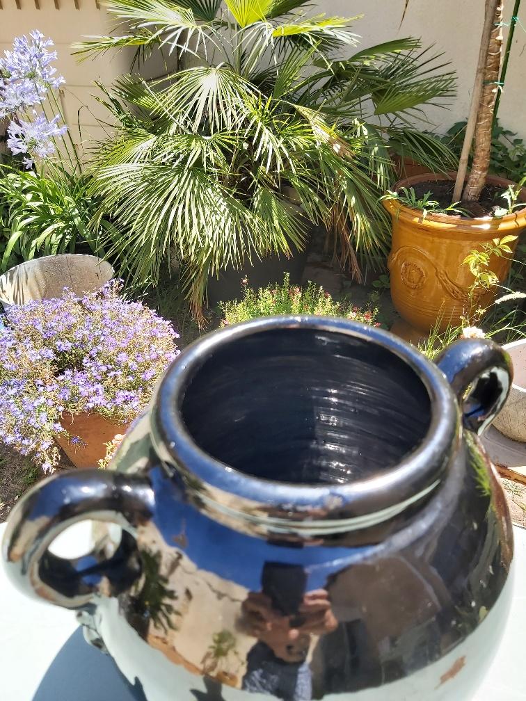 Biot glossy black potiche