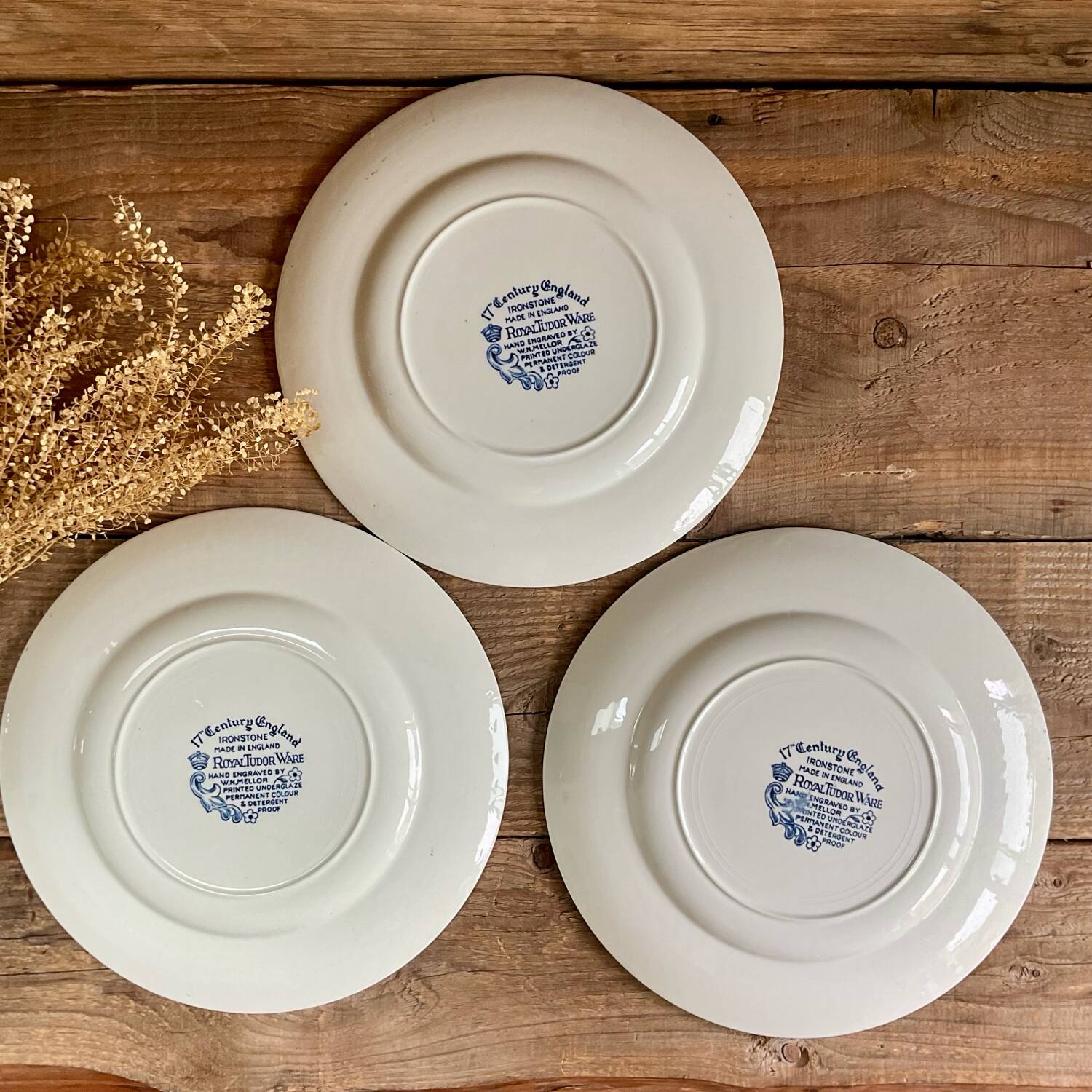 3 dinner plates “Royal Tudor Ware” England
