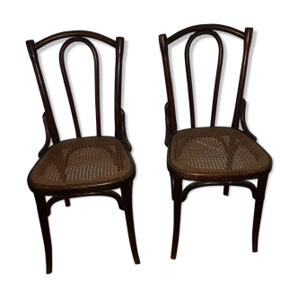 Pair of chairs thonet n° 56