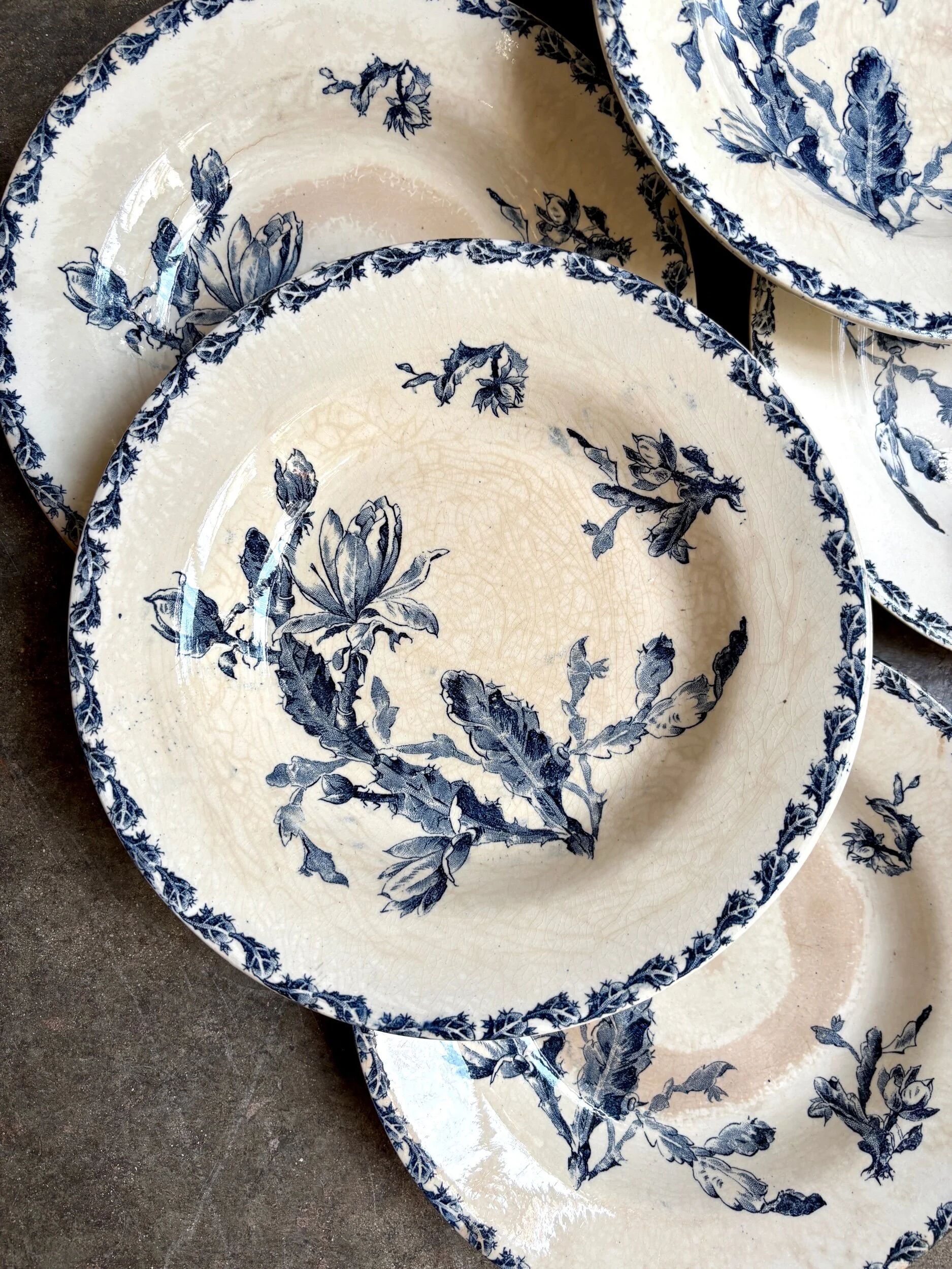 6 deep plates Gien in blue ironstone, "Cactus" service.