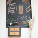Displays the digestive system