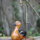 Lampe canard avec abat-jour, lampe à poser, lampe abat-jour, lampe de salon, duck lamp