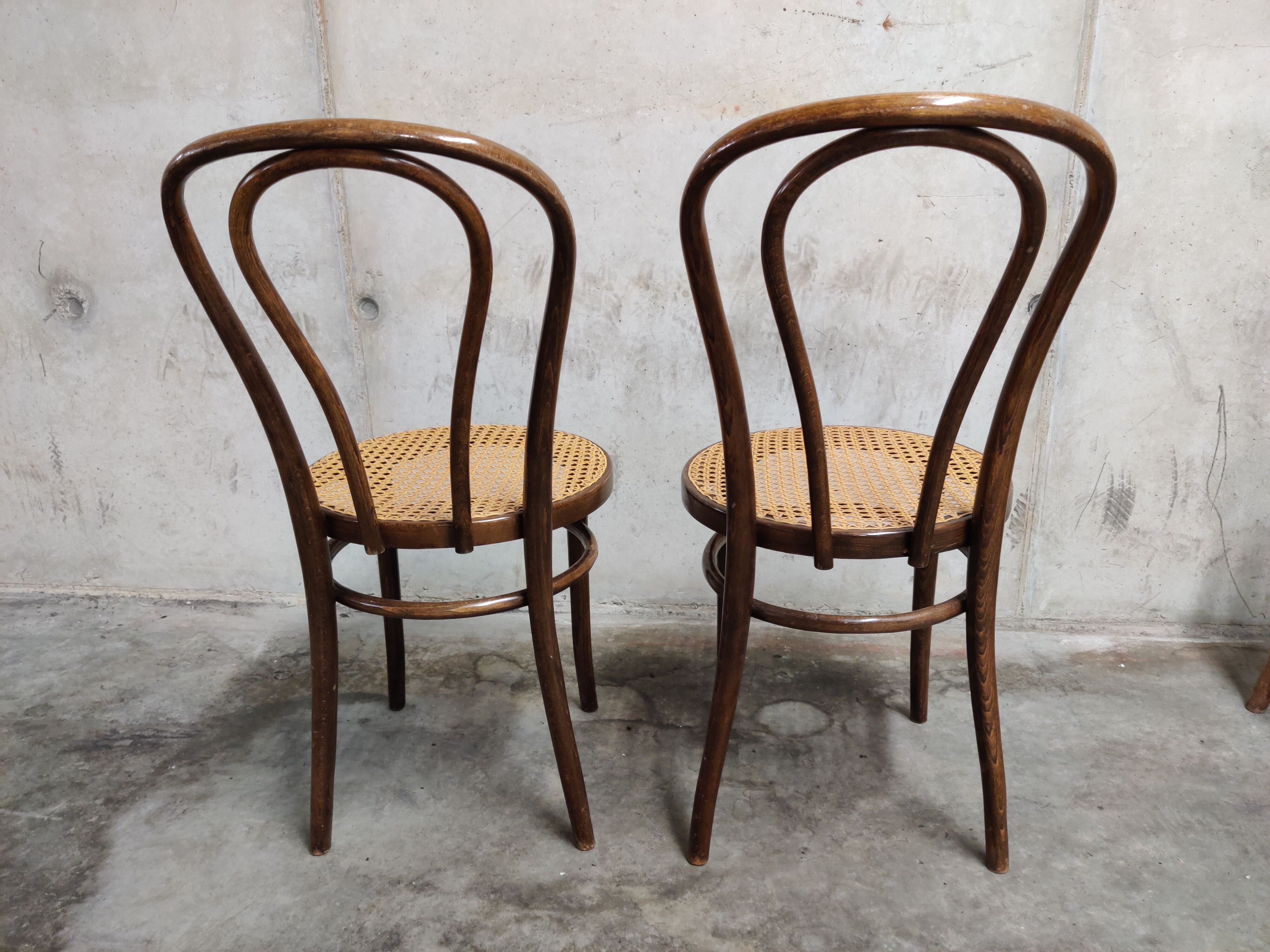 Dining chairs by zpm radomsko, 1950s