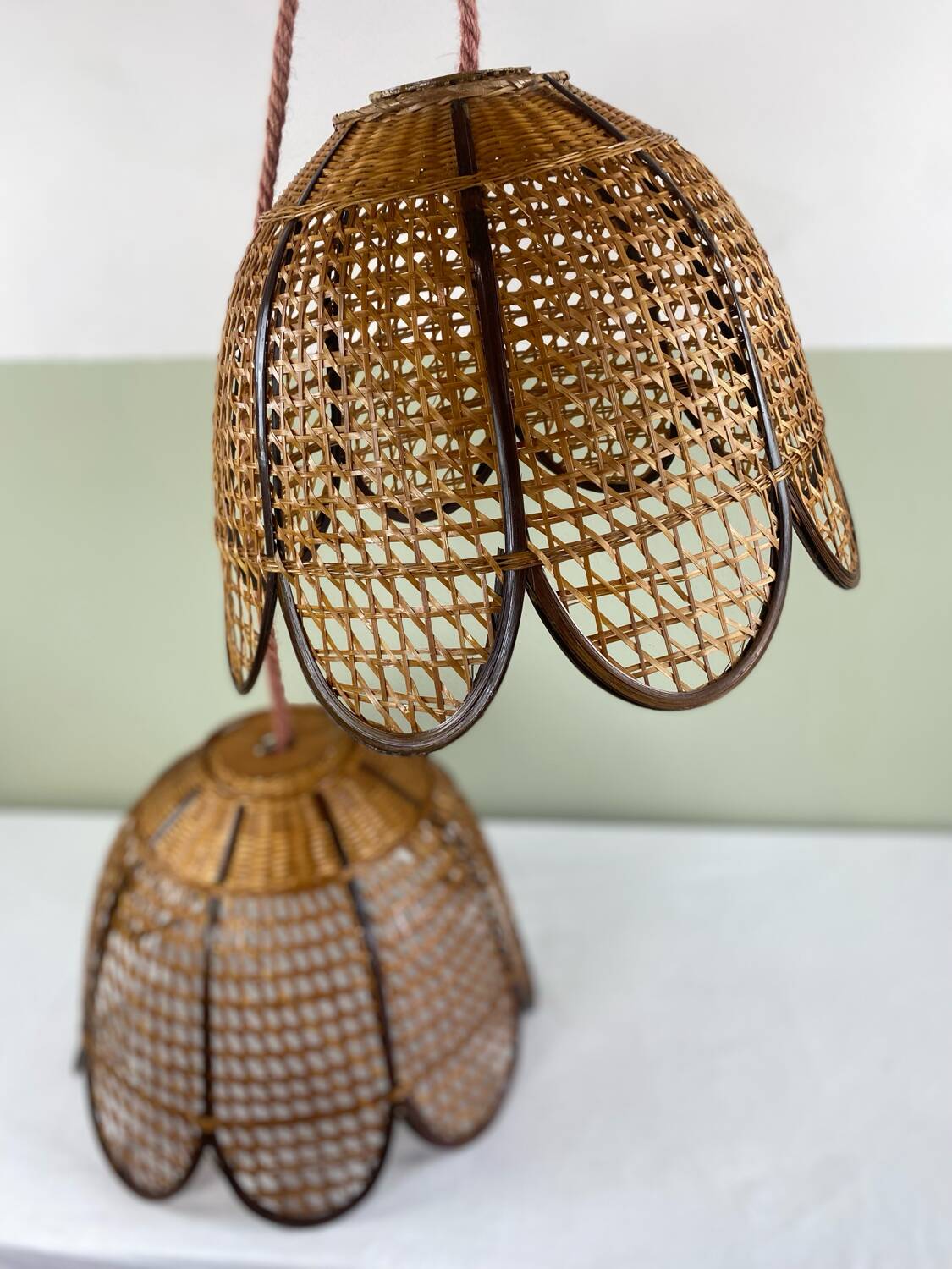 Vintage tulip hanging