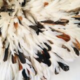 Speckled white jujuhat 65 cm