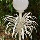 Palm lamppost by Sergio Terzani