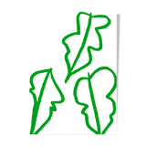 Illustration "Feuilles vertes"