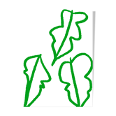 Green leaves