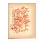 Art Nouveau engraving 1896 - Hawthorn by G. Fraipont. Antique floral plate.