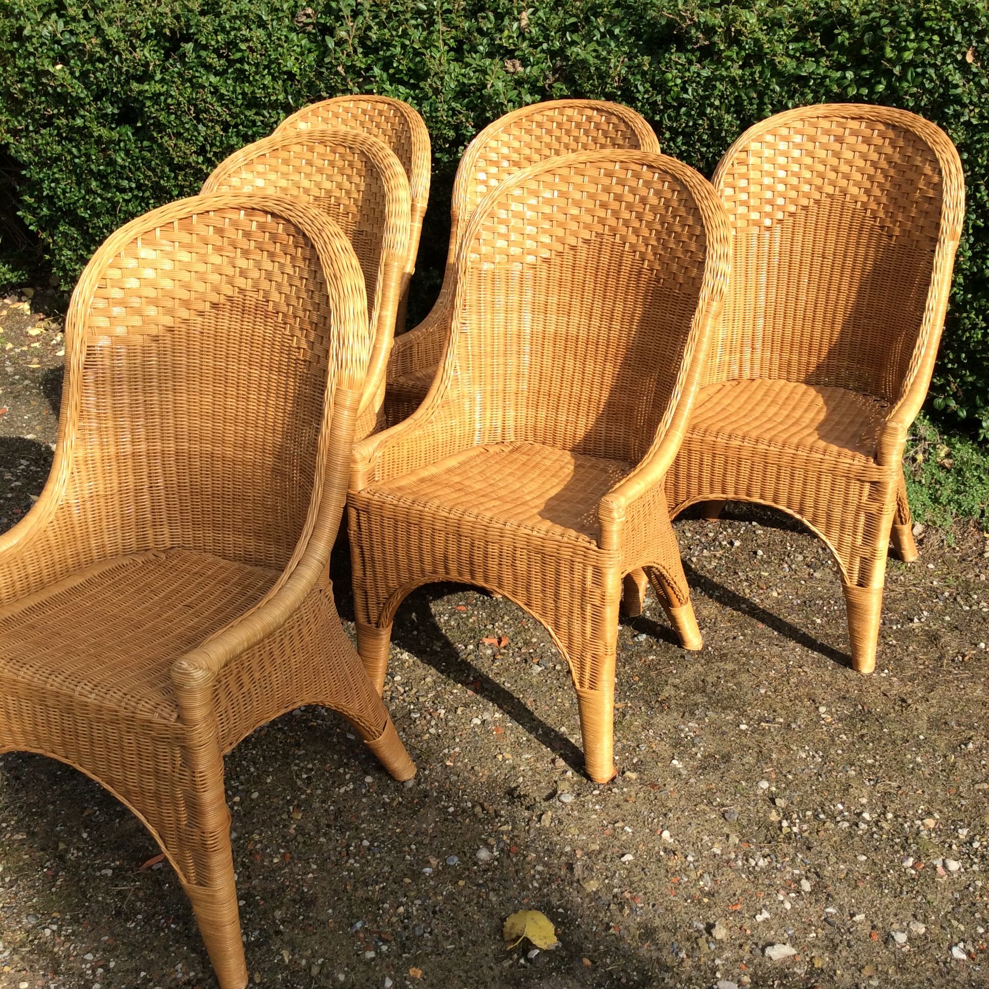 Vintage rattan set dining table and its 6 chairs