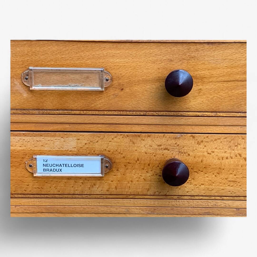 Vintage drawer cabinet with Bakelite knobs from the 1950s.