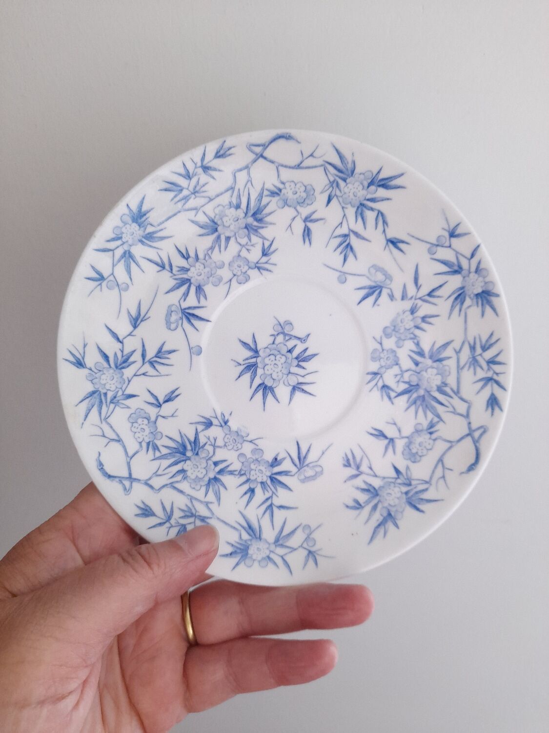 2 tea cups fine porcelain Sarreguemines