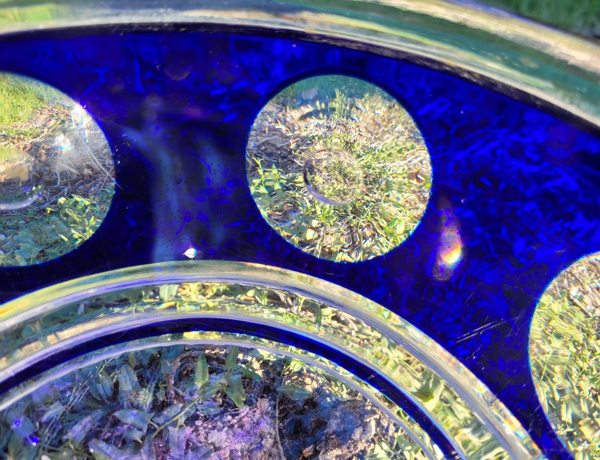 cobalt blue glass bowl with round lenses