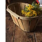 Wooden crate with slats strapping Stamp Mussy red Storage